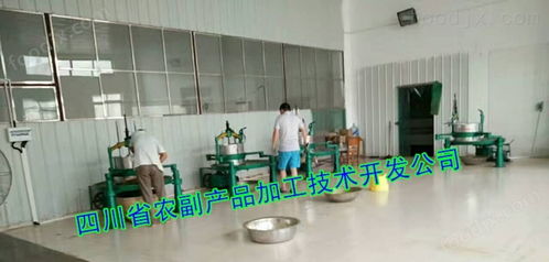 霜桑葉茶設備,小型桑葉加工茶機械 果蔬加工成套設備